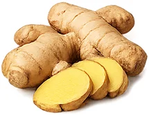 Rhinocharge — ginger root