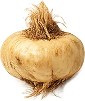 Rhinocharge — maca root